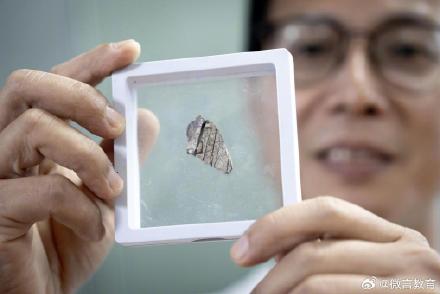 科学家发现中国最南端暴龙超科化石