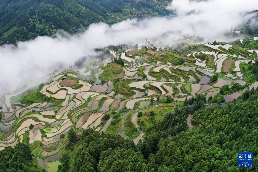 梯田新雨后 美景入画来 梯田新雨后 美景入画来