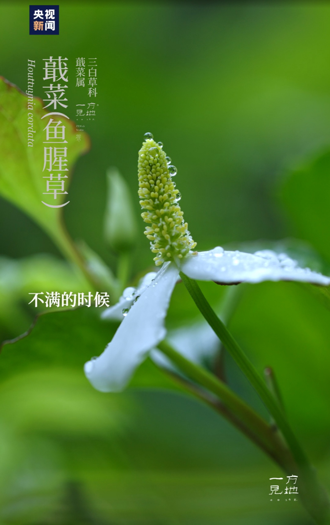 今日20时59分,正式进入 今日20时59分,正式进入