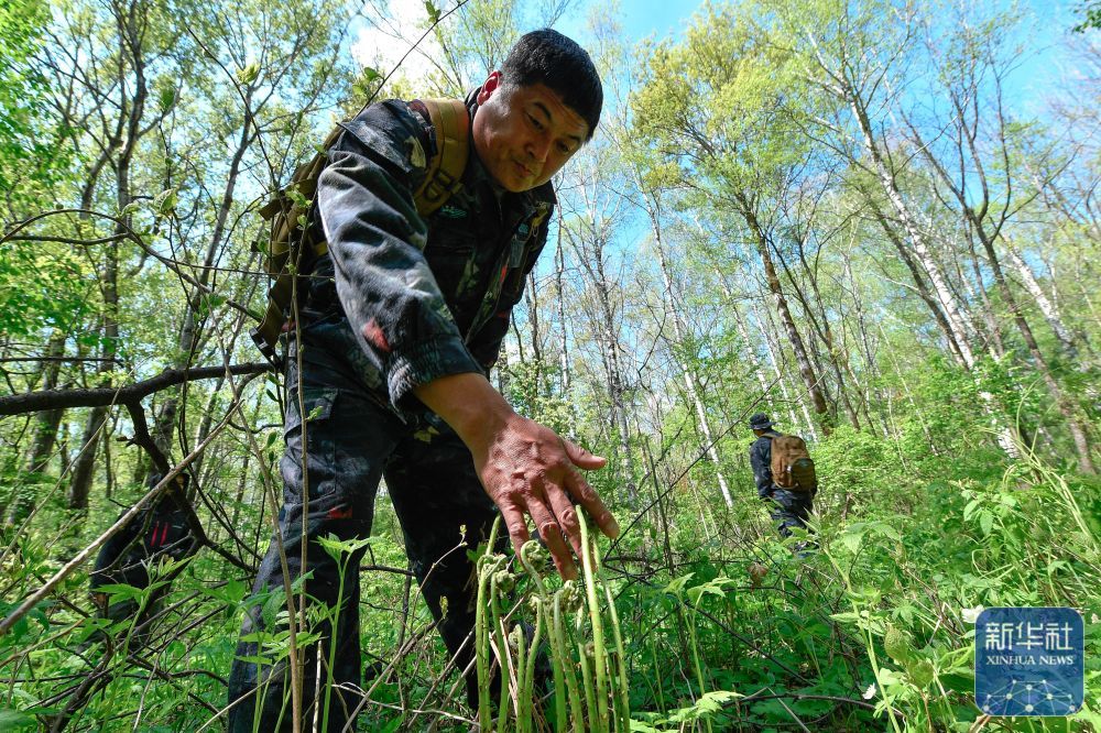 长白山“守山人”：只此青绿“长相守”