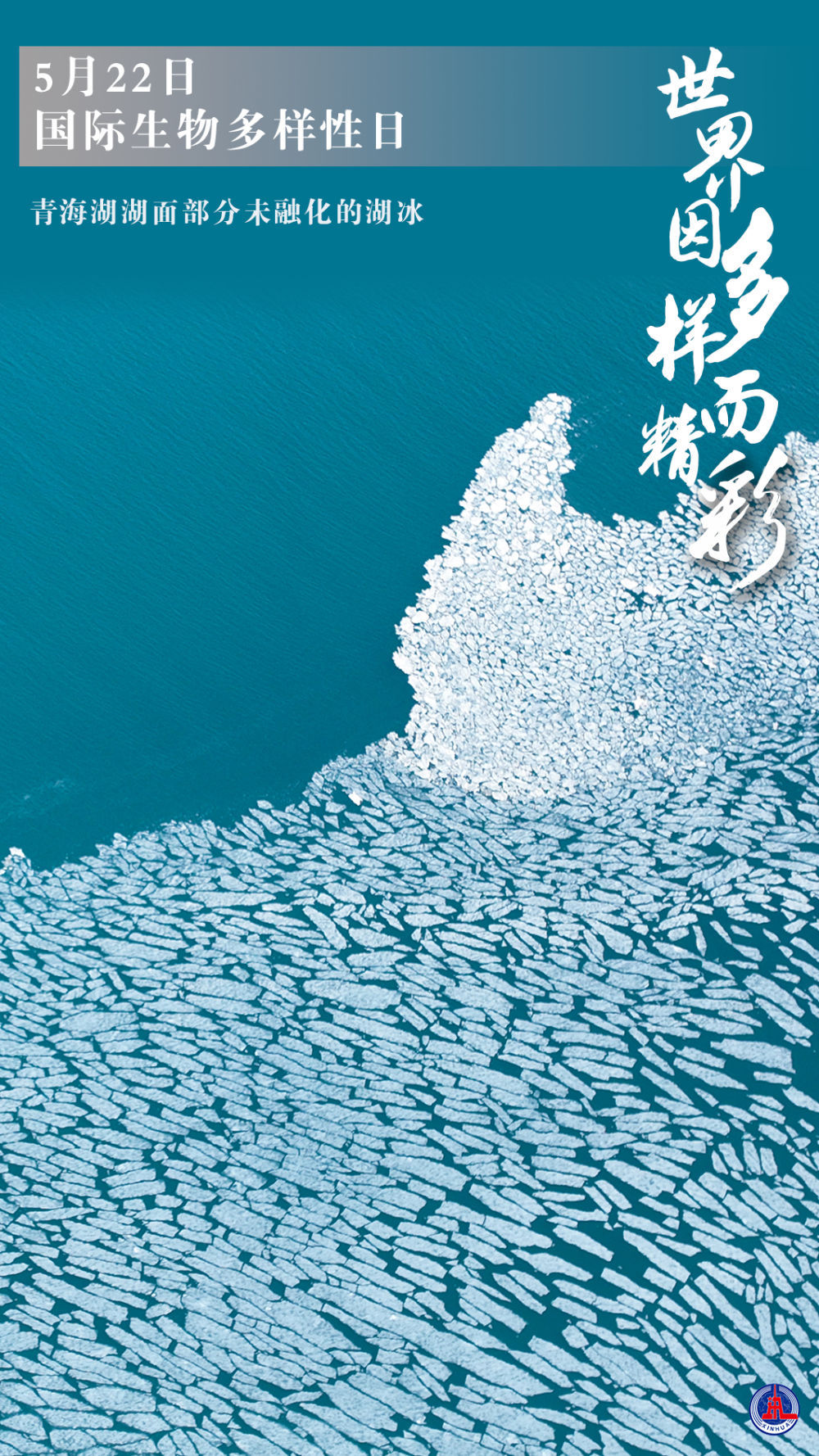 新华全媒+｜国际生物多样性日：世界因多样而精彩