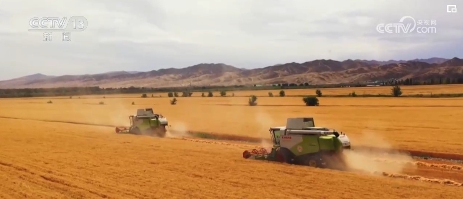 新疆实现光伏“蓝”、沙漠“黄”、生态“绿”协同发展