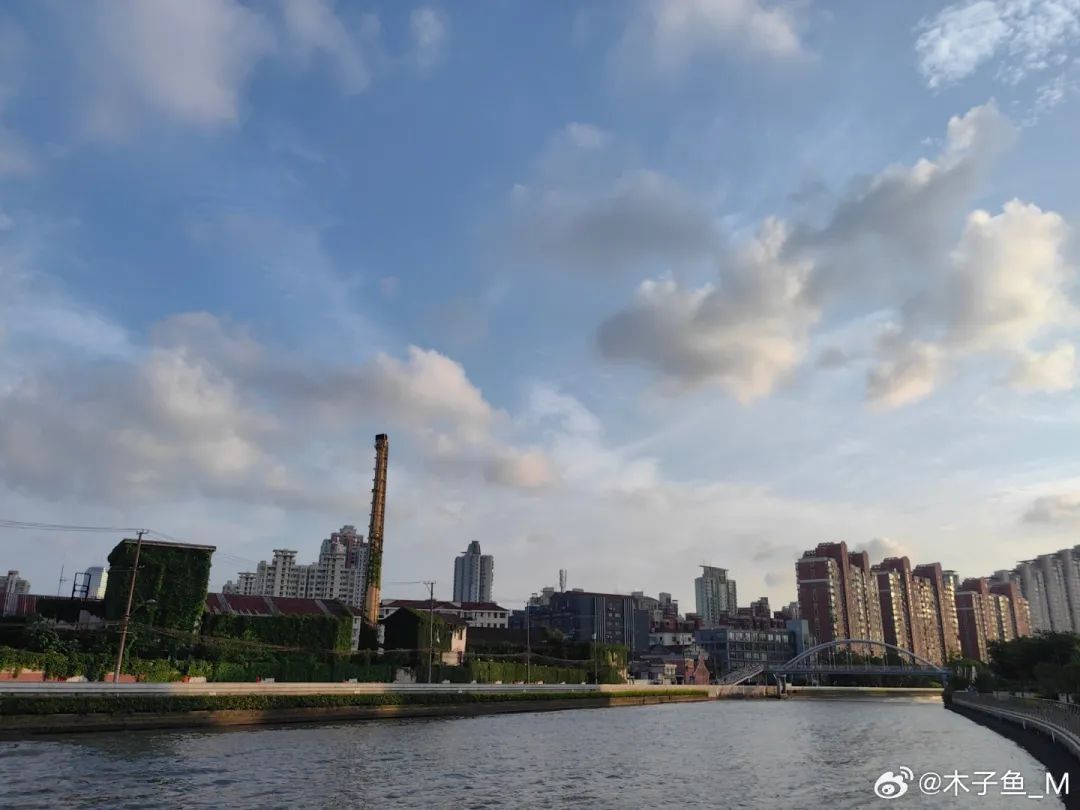 上海人注意:晴天告急!降水集中在这几天→ 上海人注意:晴天告急!降水集中在这几天→