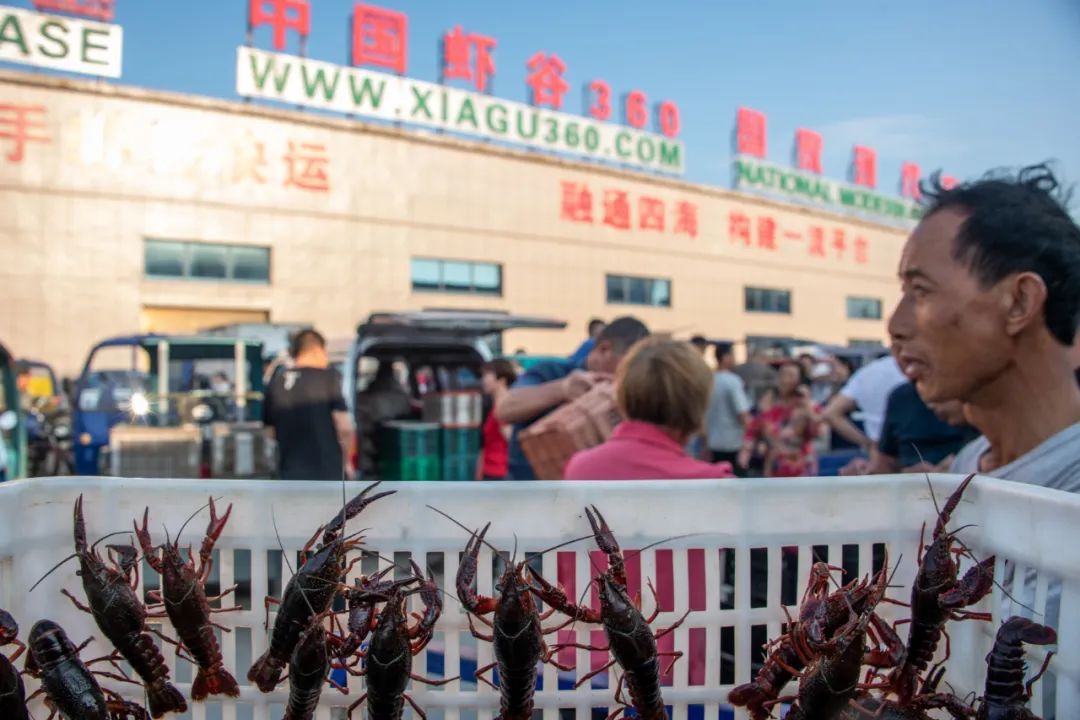 悠悠万事,吃饭为大!因地制宜践行大食物观 悠悠万事,吃饭为大!因地制宜践行大食物观