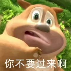 偷蜂蜜?“熊大、熊二”落网记! 偷蜂蜜?“熊大、熊二”落网记!