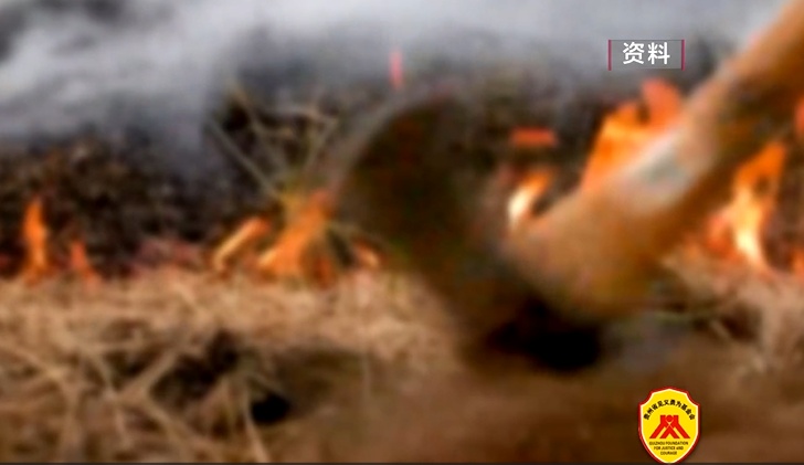 面对熊熊山火,他们用生命去守护!致敬贵州山火中的逆行者 面对熊熊山火,他们用生命去守护!致敬贵州山火中的逆行者