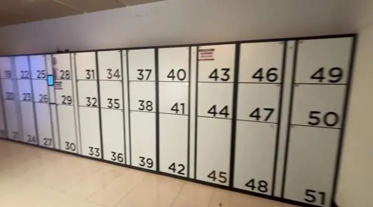 “来上海记住这个位置，可以免费……”这类攻略爆火！