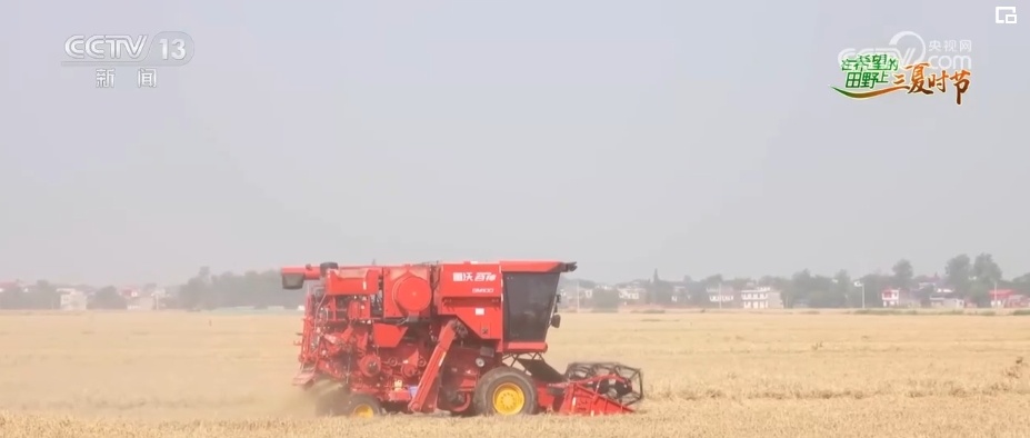 智能平台“携手”智能农机 现代化场景遍及“三夏”生产各环节