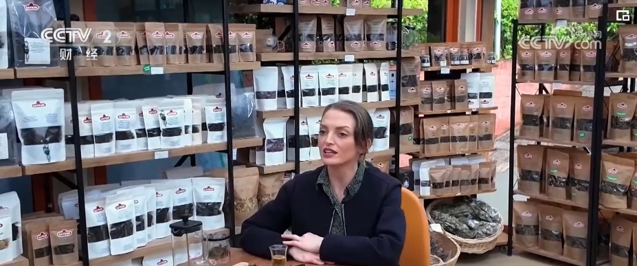 国际茶日 | 不解之缘,当土耳其茶叶遇到中国龙井 国际茶日 | 不解之缘,当土耳其茶叶遇到中国龙井