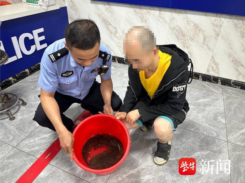 野生“娃娃鱼”被困落网，警民携手相救送往动物园