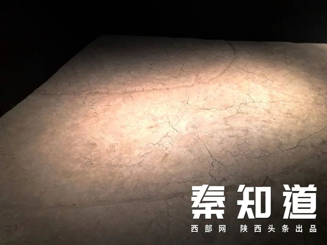 中国如何从统一走向同一 陕历博秦汉馆告诉你答案 中国如何从统一走向同一 陕历博秦汉馆告诉你答案