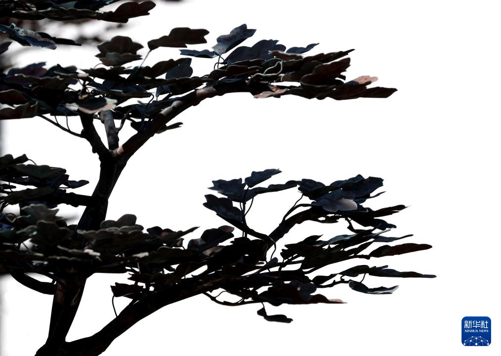 伦敦:切尔西花展即将开幕 伦敦:切尔西花展即将开幕