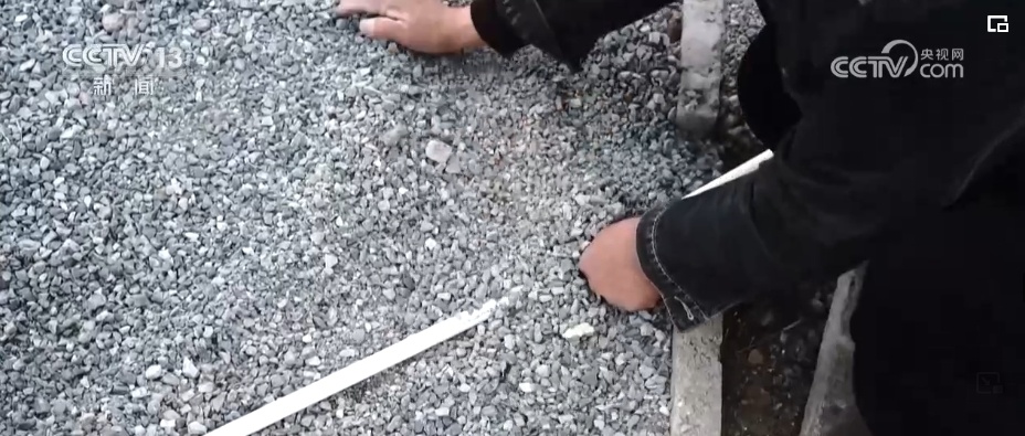 国际生物多样性日 | “人工招引”助中华凤头燕鸥种群恢复