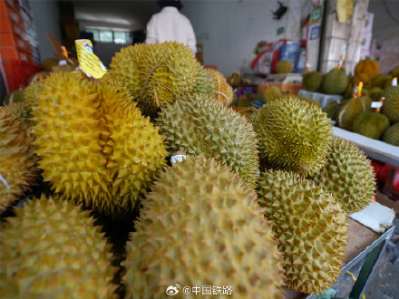 中老铁路进出口生鲜货物日均运量突破1500吨