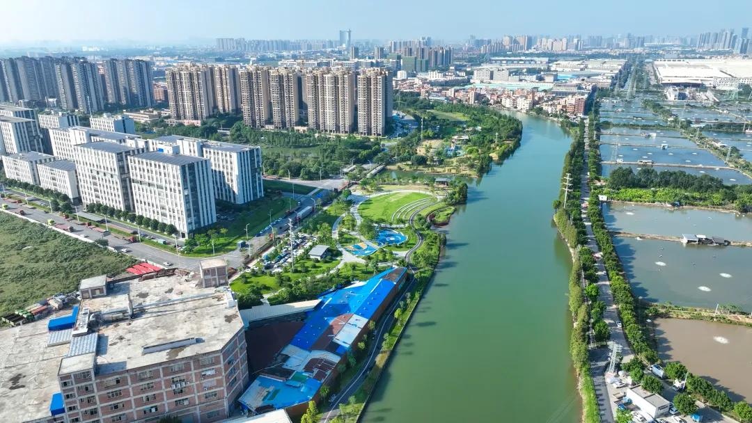 广东顺德试点“联围治水” 探索县域治水新模式