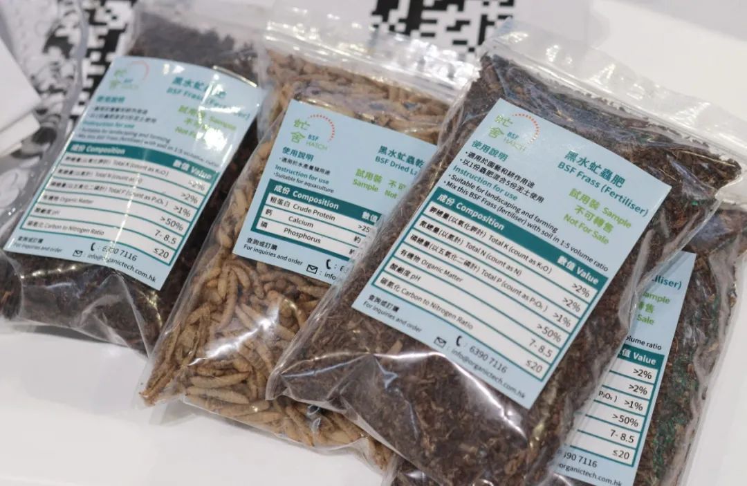 香港环保项目“上新”,与这种虫子有关 香港环保项目“上新”,与这种虫子有关