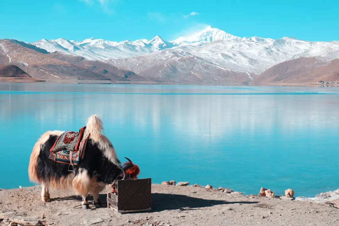 全程14天!今年首趟已发车 全程14天!今年首趟已发车