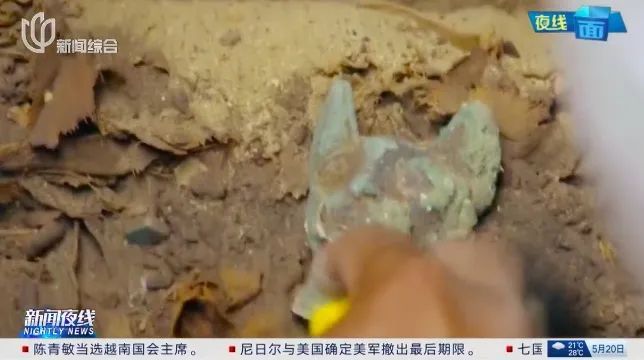 全球仅此一站！上海人要"挤破头"来看，优惠票这样买→