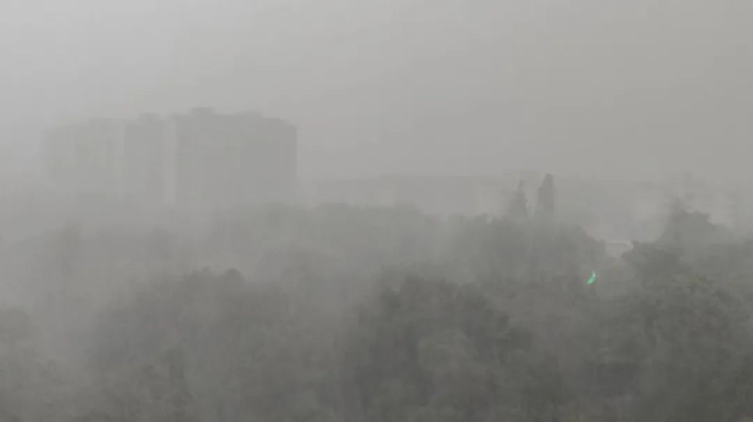 大雨！暴雨！福建紧急预警！今年1号台风有消息了？