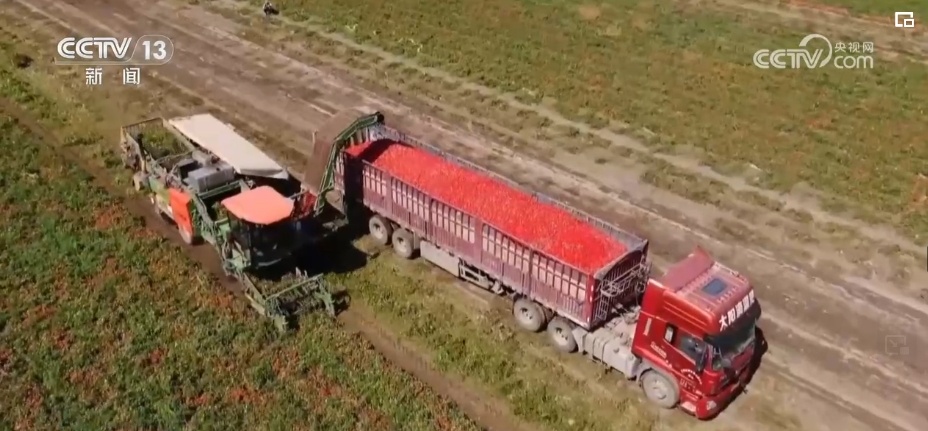 新疆实现光伏“蓝”、沙漠“黄”、生态“绿”协同发展