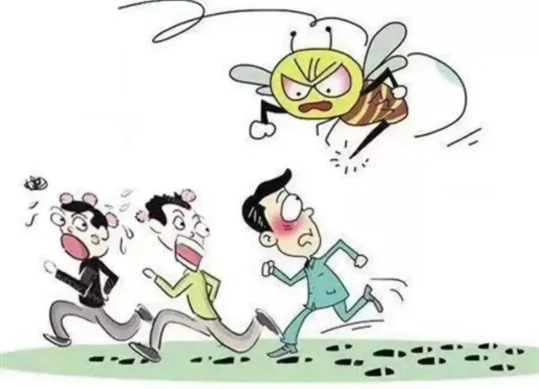 偷蜂蜜?“熊大、熊二”落网记! 偷蜂蜜?“熊大、熊二”落网记!