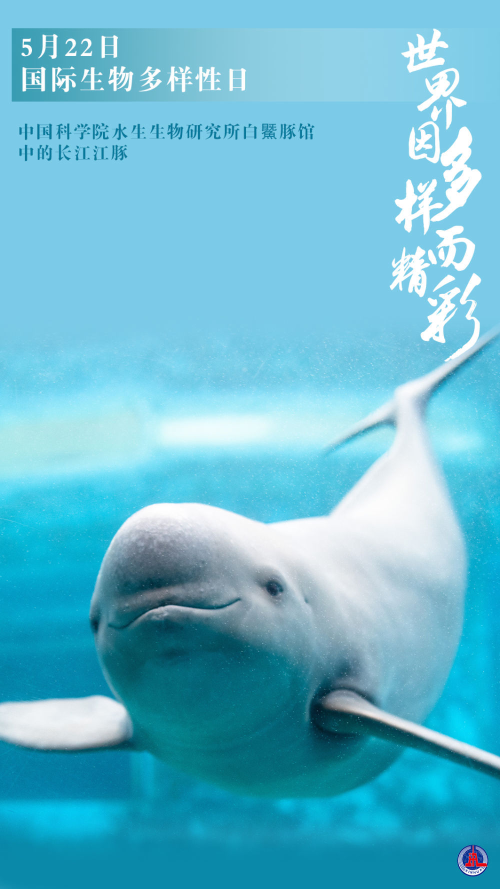 新华全媒+｜国际生物多样性日：世界因多样而精彩