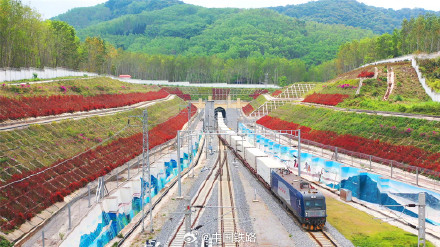 中老铁路进出口生鲜货物日均运量突破1500吨