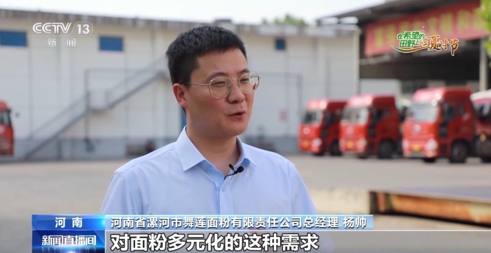 中国小麦的“C位” 麦收前在准备什么？