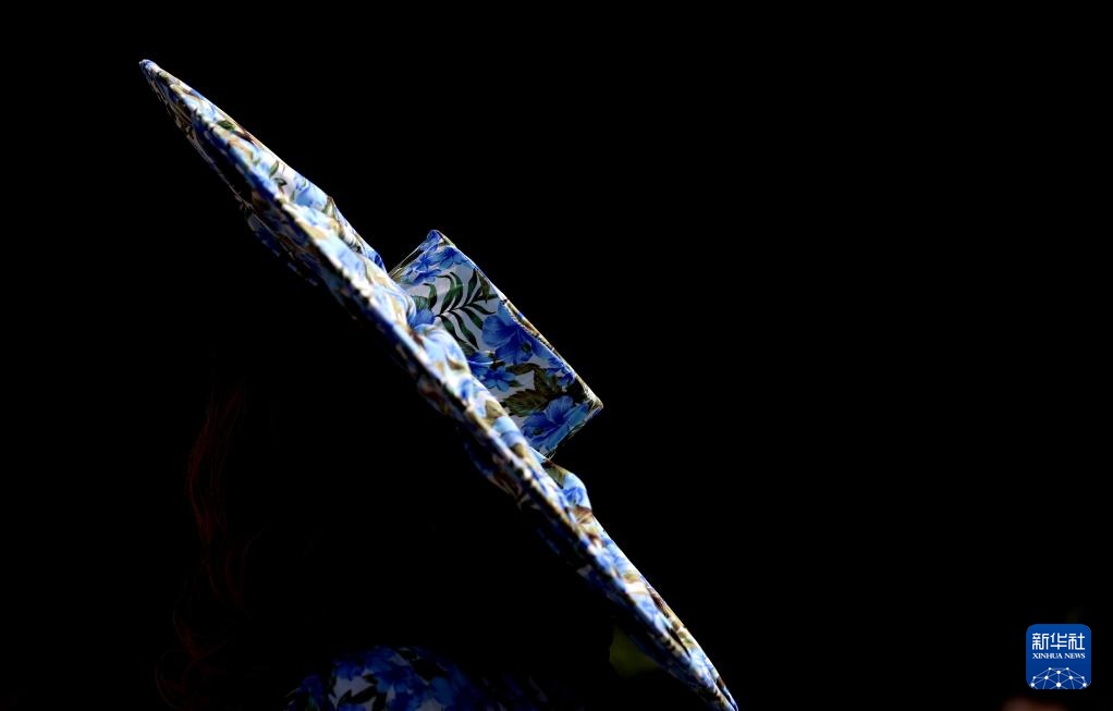 伦敦:切尔西花展即将开幕 伦敦:切尔西花展即将开幕