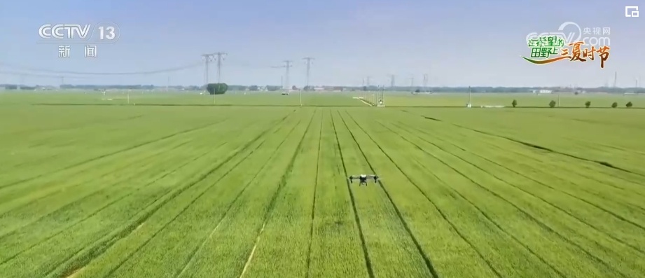 智能平台“携手”智能农机 现代化场景遍及“三夏”生产各环节
