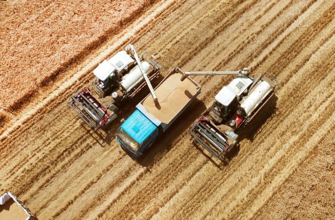 悠悠万事,吃饭为大!因地制宜践行大食物观 悠悠万事,吃饭为大!因地制宜践行大食物观