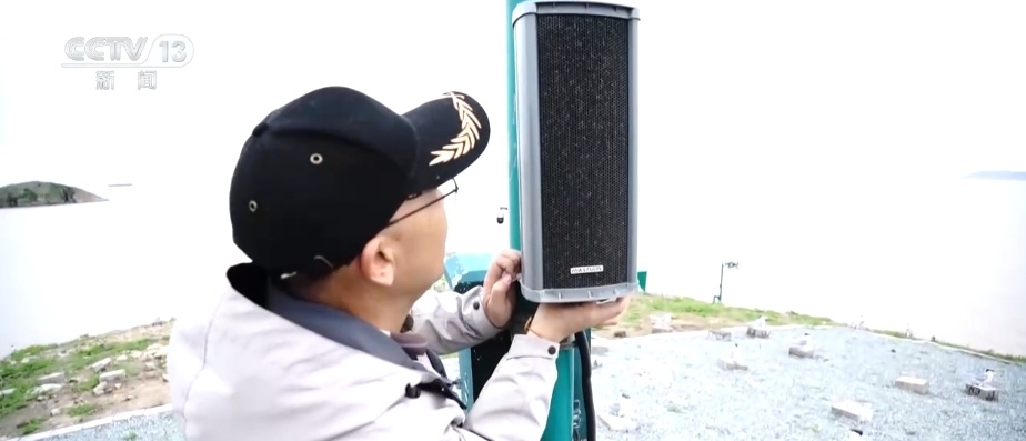 国际生物多样性日 | “人工招引”助中华凤头燕鸥种群恢复