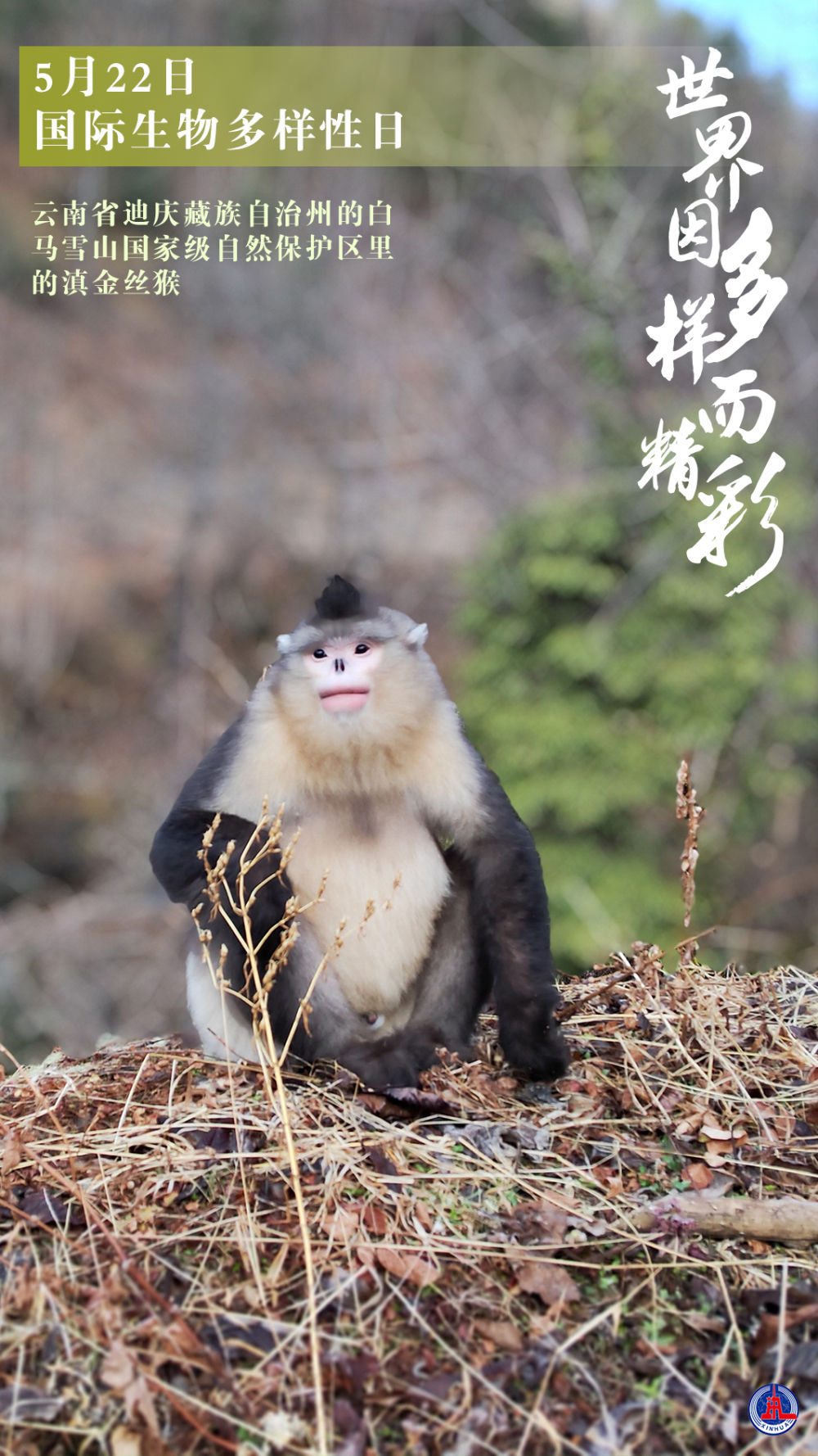 新华全媒+｜国际生物多样性日：世界因多样而精彩