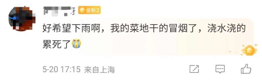 上海人注意:晴天告急!降水集中在这几天→ 上海人注意:晴天告急!降水集中在这几天→