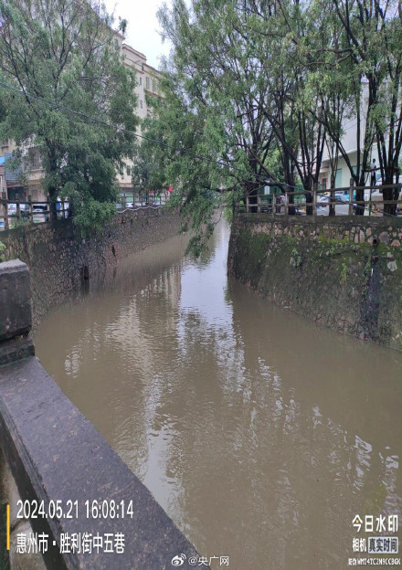 广东惠州紧急处置水体变红 广东惠州紧急处置水体变红