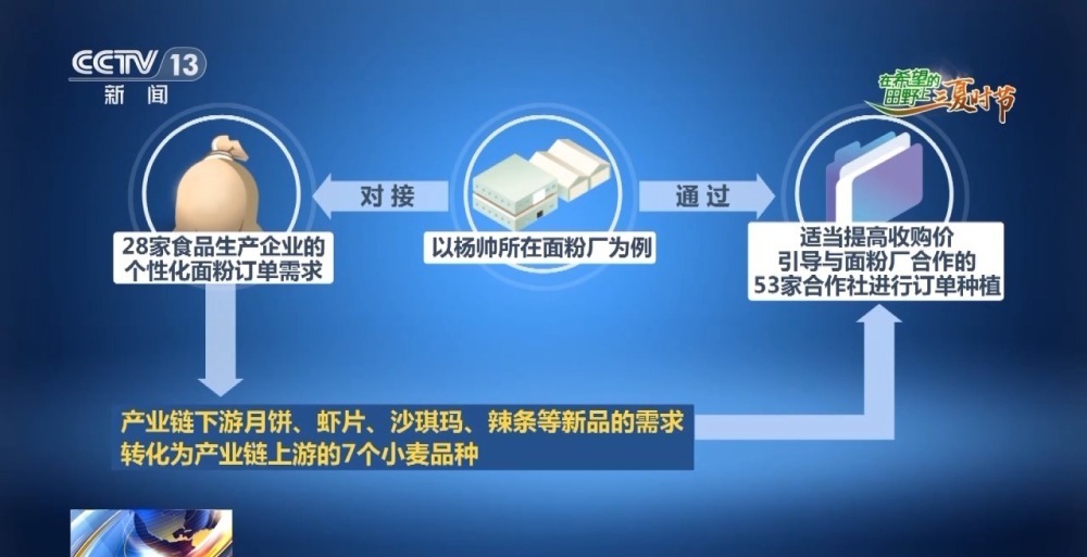 中国小麦的“C位” 麦收前在准备什么？