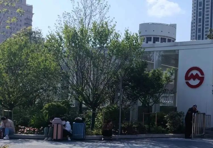 “来上海记住这个位置，可以免费……”这类攻略爆火！