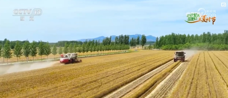 智能平台“携手”智能农机 现代化场景遍及“三夏”生产各环节