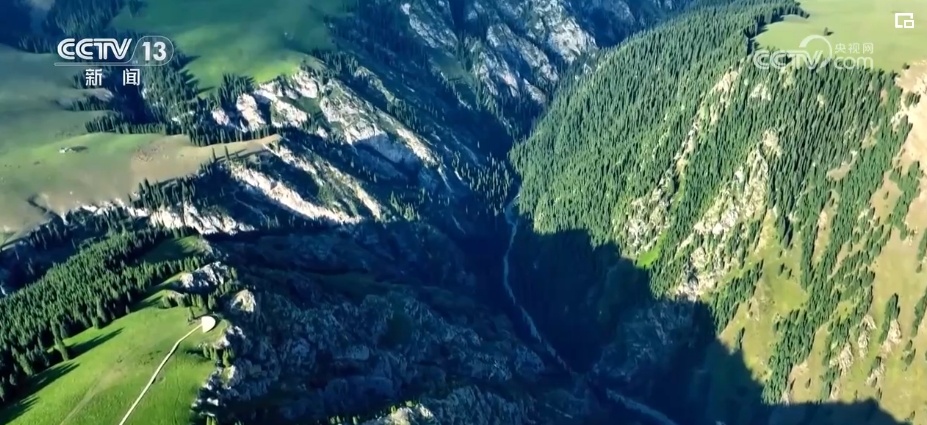 新疆实现光伏“蓝”、沙漠“黄”、生态“绿”协同发展