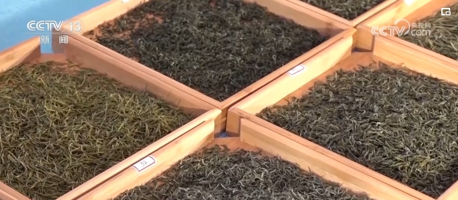 荼、槚、荈、蔎、茗……浩瀚典籍里的茶 茶的文字源头在中国