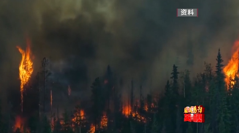 面对熊熊山火,他们用生命去守护!致敬贵州山火中的逆行者 面对熊熊山火,他们用生命去守护!致敬贵州山火中的逆行者