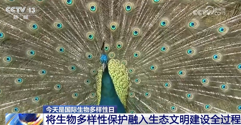 不断擦亮高质量发展“底色” 我国生态系统格局整体稳定并不断优化