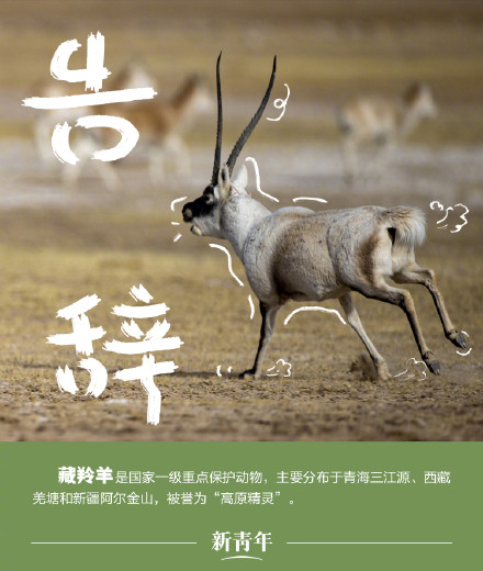 收藏!野生动植物界戏精表情包 收藏!野生动植物界戏精表情包