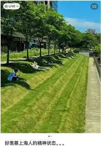 上海这里一夜爆火,有人每天来抢位置 上海这里一夜爆火,有人每天来抢位置