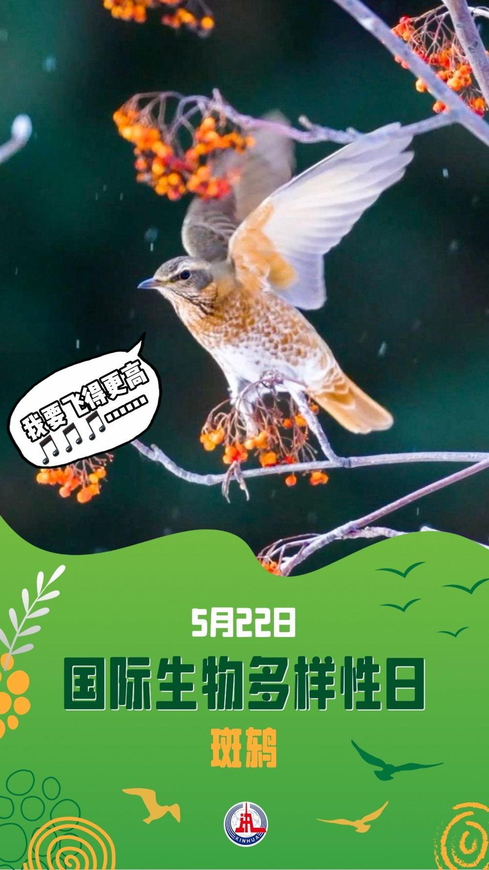 请注意！前方有“萌兽”出没……