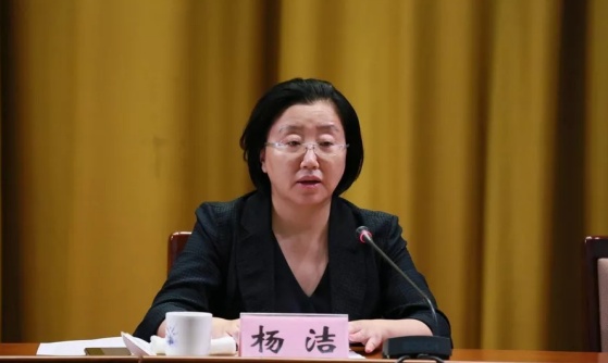 杨洁，任上被查！