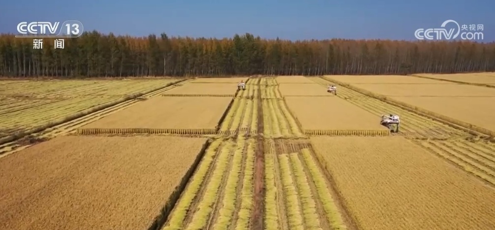 以实干实绩惠民生、解民忧 三大粮食作物两种农业保险政策实施
