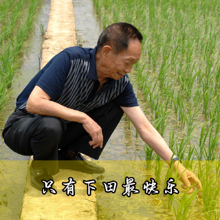 缅怀！袁老的这些瞬间让人动容