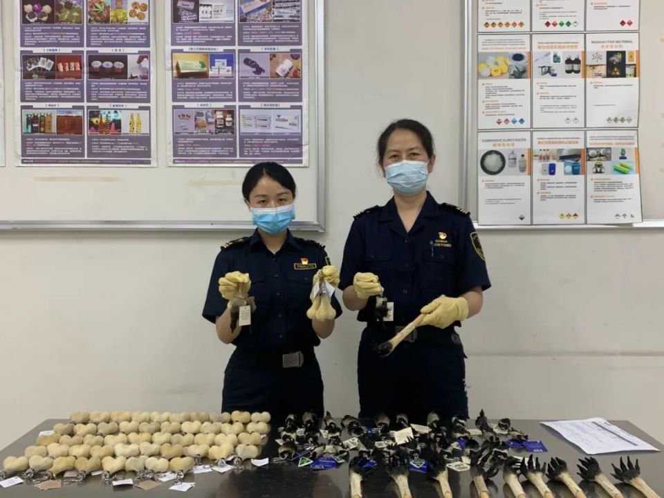 禁止入境!成都海关查获一批钥匙扣抓痒挠,为袋鼠睾丸皮囊爪子制品 禁止入境!成都海关查获一批钥匙扣抓痒挠,为袋鼠睾丸皮囊爪子制品