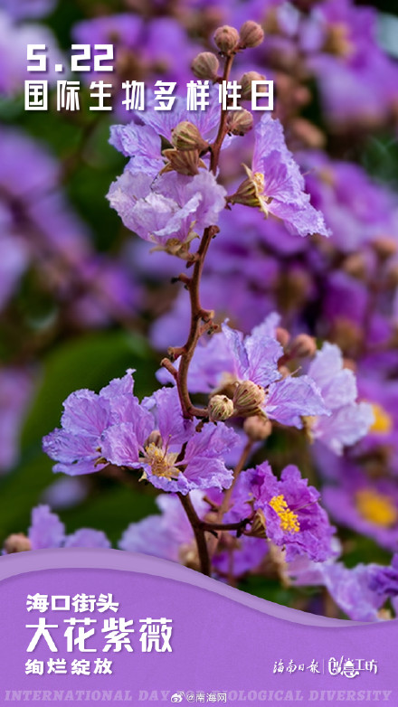 在国际生物多样性日，一起探秘生命的色彩